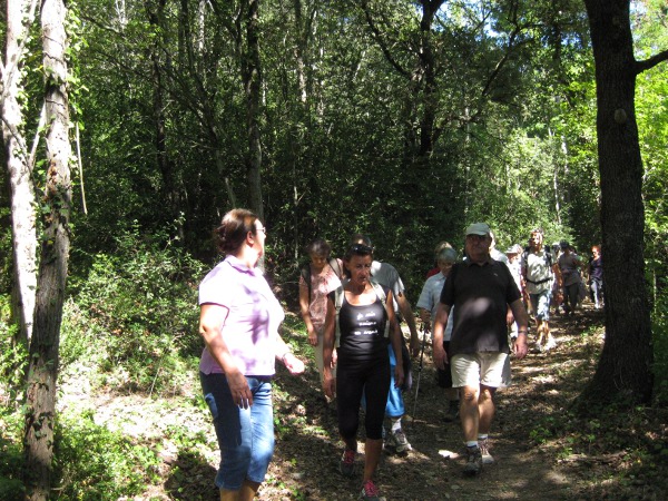 jep2012 NC