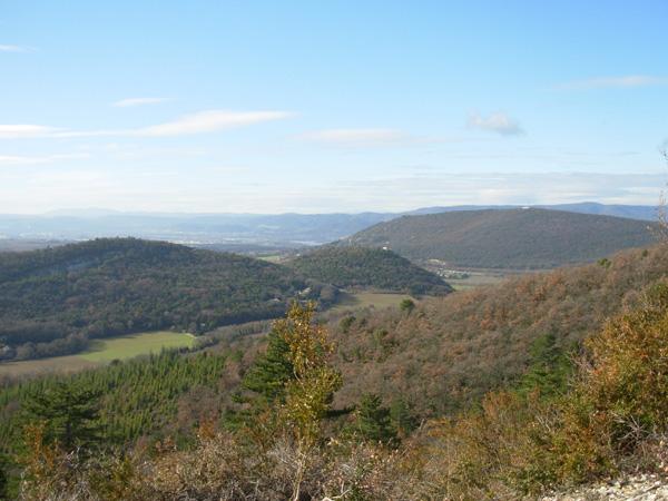 foret2012AM