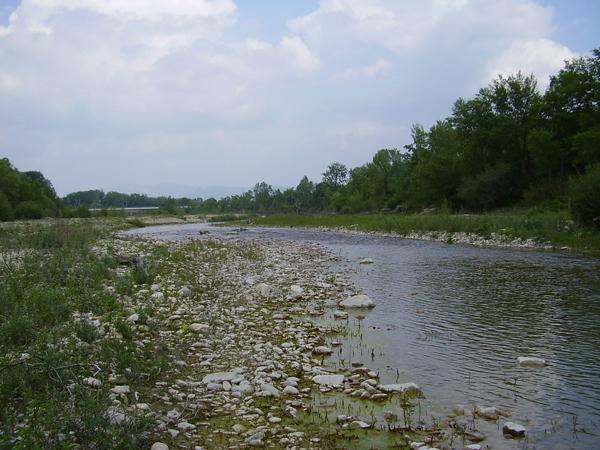 galets avec végétation 2003 RT