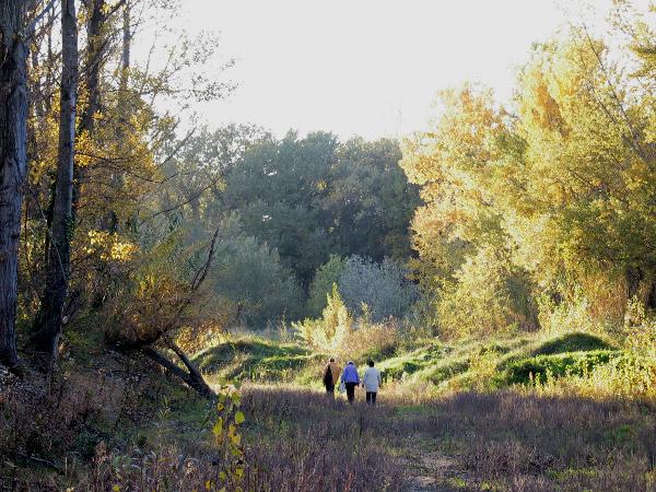 ramière promenade 2003 RT