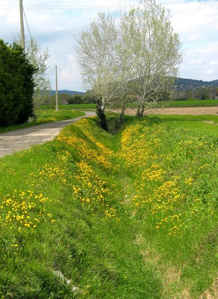 fossé