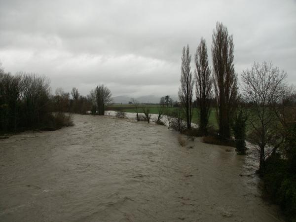 description de la photo