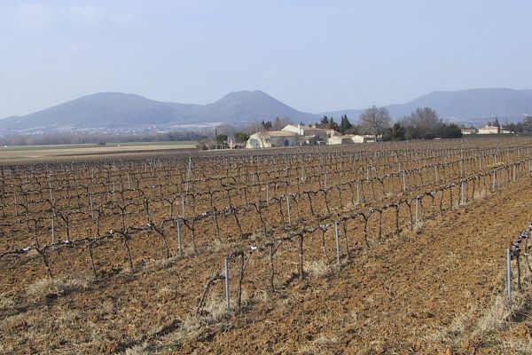 plaine maisons fortes